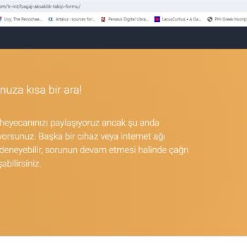 THY Hasarlı Valiz Bildirimi Yapamıyorum