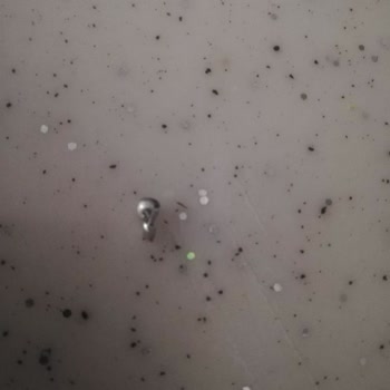 SuperFresh Üründe Yabancı Cisim Bulundu