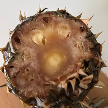 Getir Büyük Bozuk Ürün Teslimi