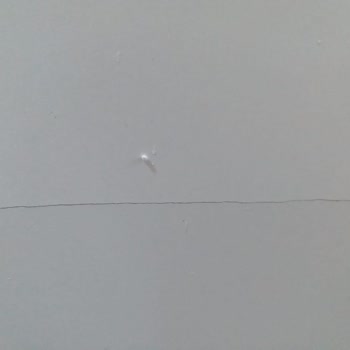 Tiamob Kirik Ürün Yolladılar