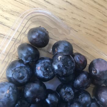 Migros'tan Aldığım Yaban Mersininde Kurtçuk