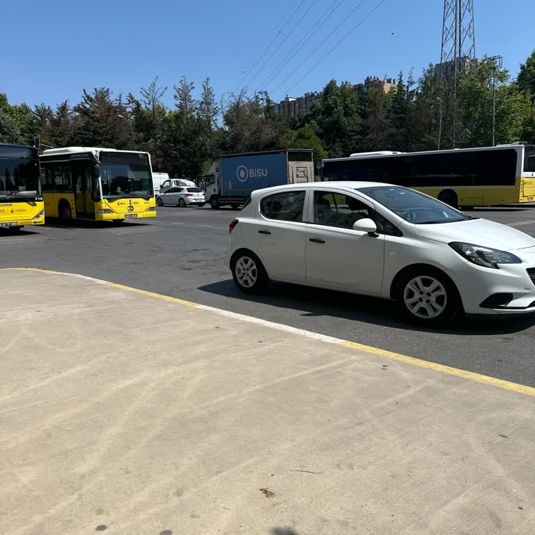 Zeplin Car Rental Şikayetvar