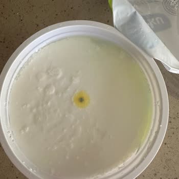 A101 Den Aldığım Yoğurt Küflü Çıktı