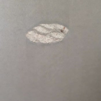 Schafer Ütüyü Tamir Etmeyip Yapıldı Diye Gönderen Servis İle Firmayı Şikayet