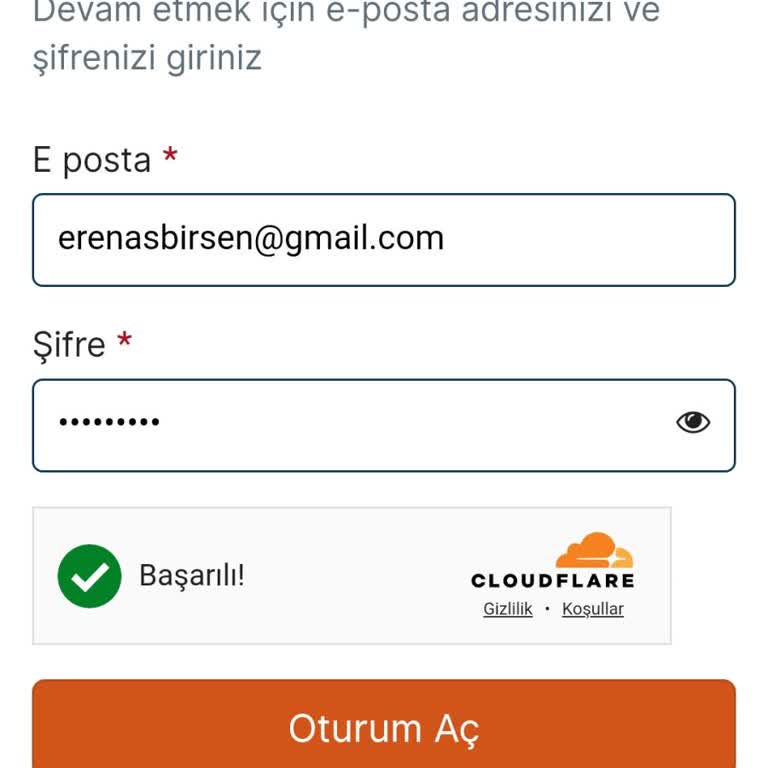 VFS Global VFS Oturum Açamıyorum