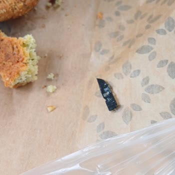 Misbaşak İncek İnsan Hayatı