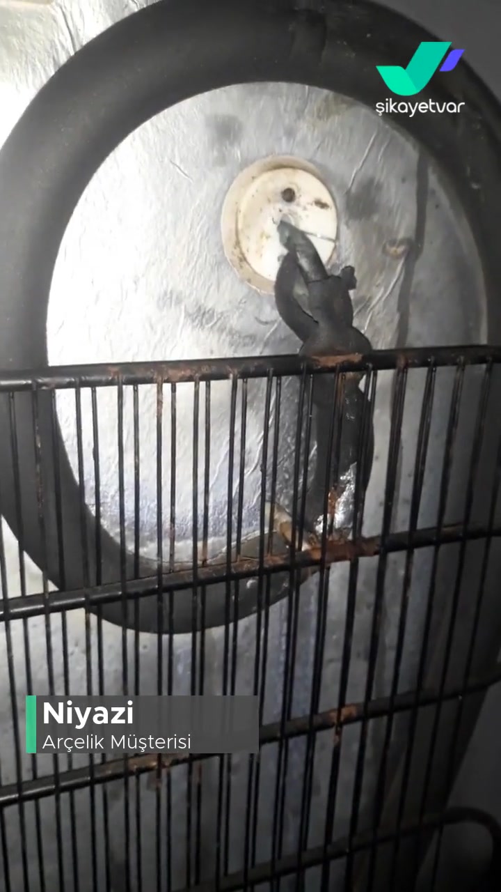 Arçelik Derin Dondurucu Petek Gaz Kaçağı Arızası videonun kapak resmi