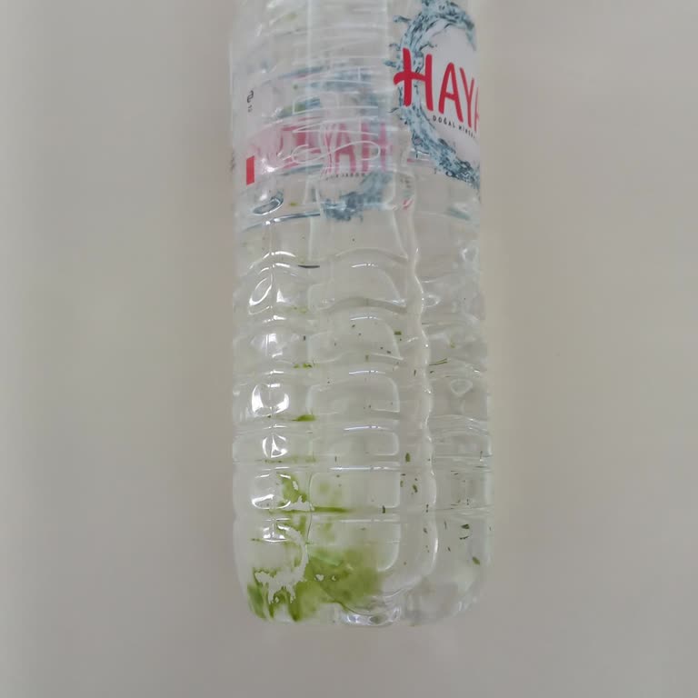 Hayat Su İnsan Halk Sağlığını Tehdit Ediyor