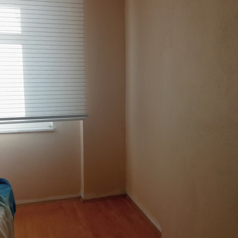 Marshall Boya Kum Beji Rengi