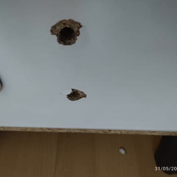 Evse Mağazaları Kalitesiz Mobilya Sıkıntısı