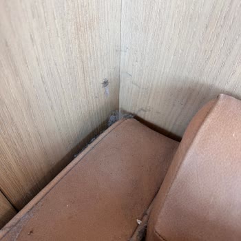 Kahve Dünyası Hijyen Sıfır. Her Yer Toz Pis