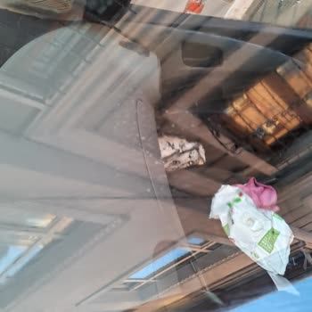 Homer Auto Service Otomotiv Servisinde İşçilik Ve İzinsiz Kullanım Şikayeti