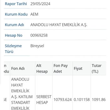 Anadolu Hayat Emeklilik'te Geri Ödeme Sorunu