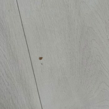 IKEA Mutfak Dolabı Krizi