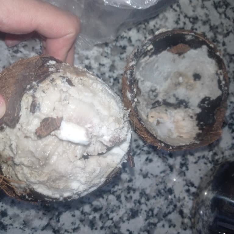 Migros Hindistan Cevizi Bozuk Çıktı!