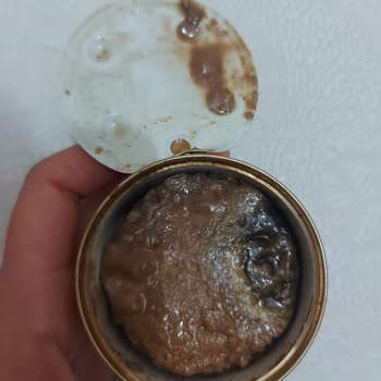 Trendyol Purina Gourmet Gold Yaş Mama Bozuk Çıktı