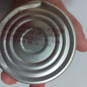 Nestle Purina PetCare Purina Gourmet Gold Yaş Mama Bozuk Konserve