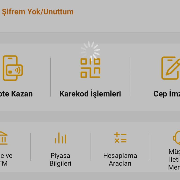 VakıfBank Vakıf Mobil Girememe