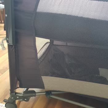 Dalpa Hayal Kırıklığı Prego