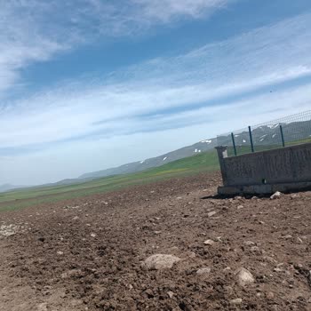 T. C. Cumhurbaşkanlığı Kötü Koku Ve Yetersiz Yol Bakımı!