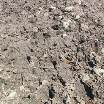 Milli Eğitim Bakanlığı (MEB) Yol Bakım Erzurum Anıtlı Köyü