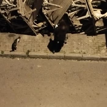 Bağcılar Belediyesi Sokak Arası Çevre Kirliliği Var