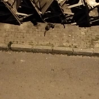 Bağcılar Belediyesi Sokak Arası Çevre Kirliliği Var