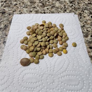 A101 Sorumsuzca Paketlenen Ürün Yüzünden Ön Dişimin Kırılması