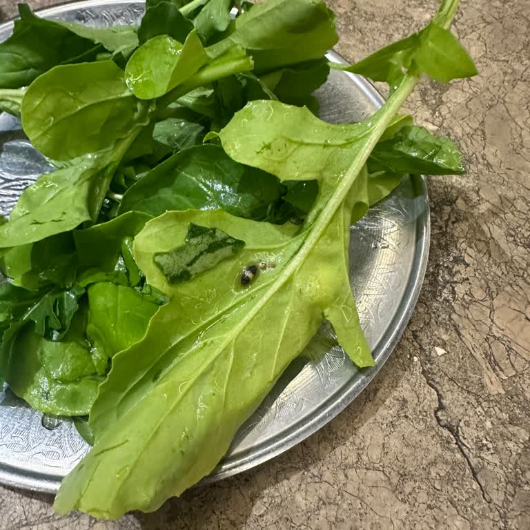 Seçkin İşkembe Roka'dan Kurt, Lahmacundan Kıl Çıktı