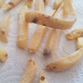 BİM Mutfağım Donmuş Patates Filizlenmiş