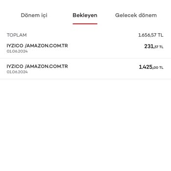 Juzdan Ve Amazon Chippara Sorunu