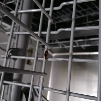 Profilo Bulaşık Makinesi Paslanma