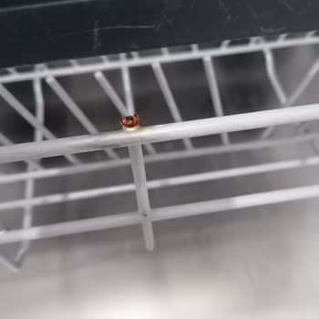 Profilo Bulaşık Makinesi Paslanma