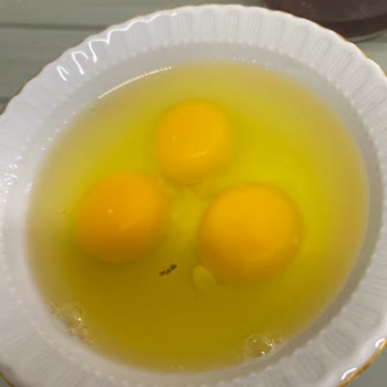 Bakyum Yumurta Yumurta Sinekli Çıkması