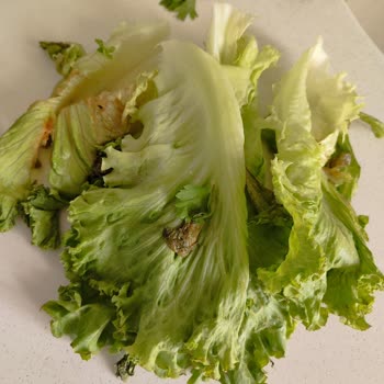 Profilo, Sattığı Malın Arkasında Durmuyor