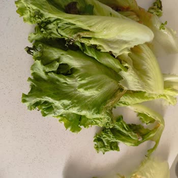 Profilo, Sattığı Malın Arkasında Durmuyor