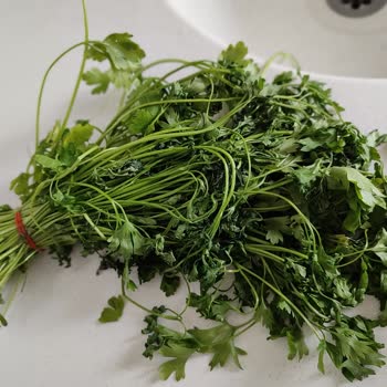 Profilo, Sattığı Malın Arkasında Durmuyor