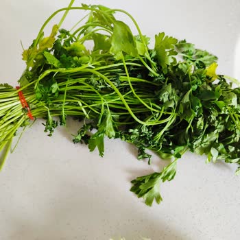 Profilo, Sattığı Malın Arkasında Durmuyor