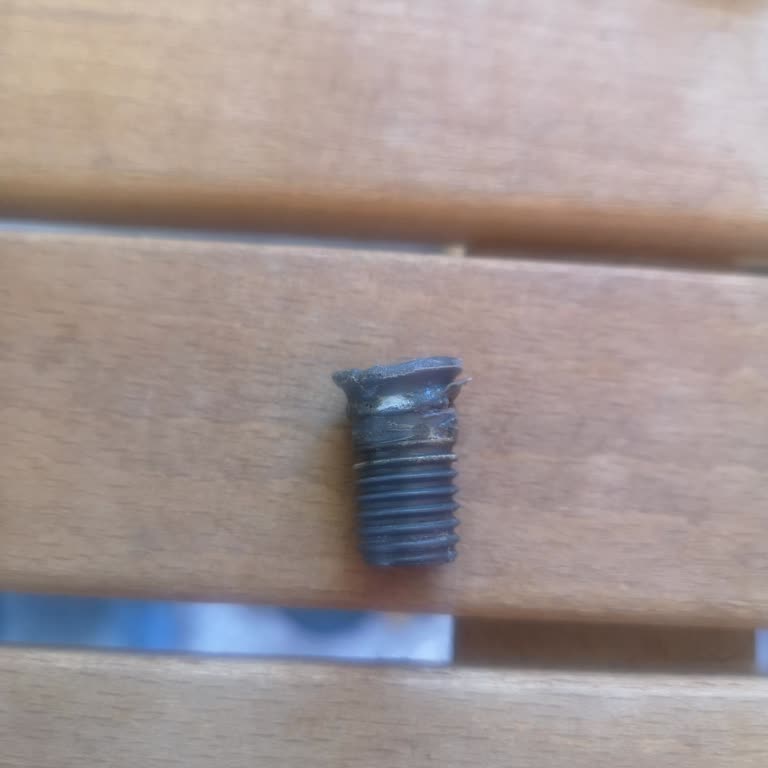 Teka Lavabo Süzgeç Vidası