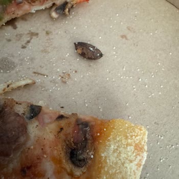 Pizza Hut'tan Aldığım Pizzadan Zeytin Çekirdeği Çıktı Ve Dişim Kırıldı