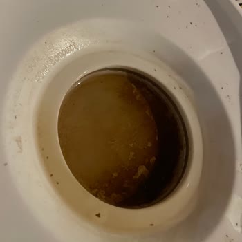 Chicco 3&1 Arada Sterilizatör Yanık Kokusu Ve Kararma Kötü Ürün