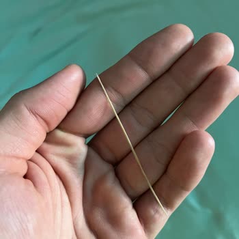 Whiskas Yaş Kedi Maması