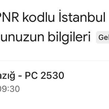 Pegasus Kırık Bağaj İle Geri Gönderdiler