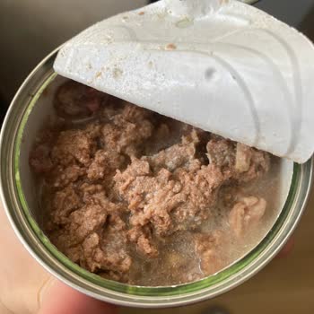 Farmina N D корм разочарование