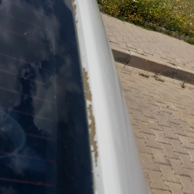 Honda Civic Boya Atma Sorunu