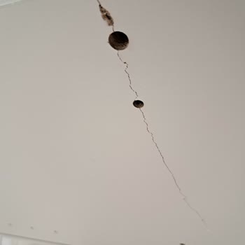 IKEA Billy Bookcase Arrived Broken and IKEA Refuses Replacement Due to Policy Limit