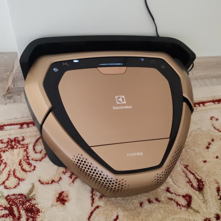 Electrolux Robot Süpürge Arıza