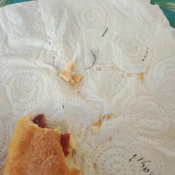 Efe Unlu Mamülleri (Kastamonu) Ekmekten İki Tane Metal Parçası Çıktı