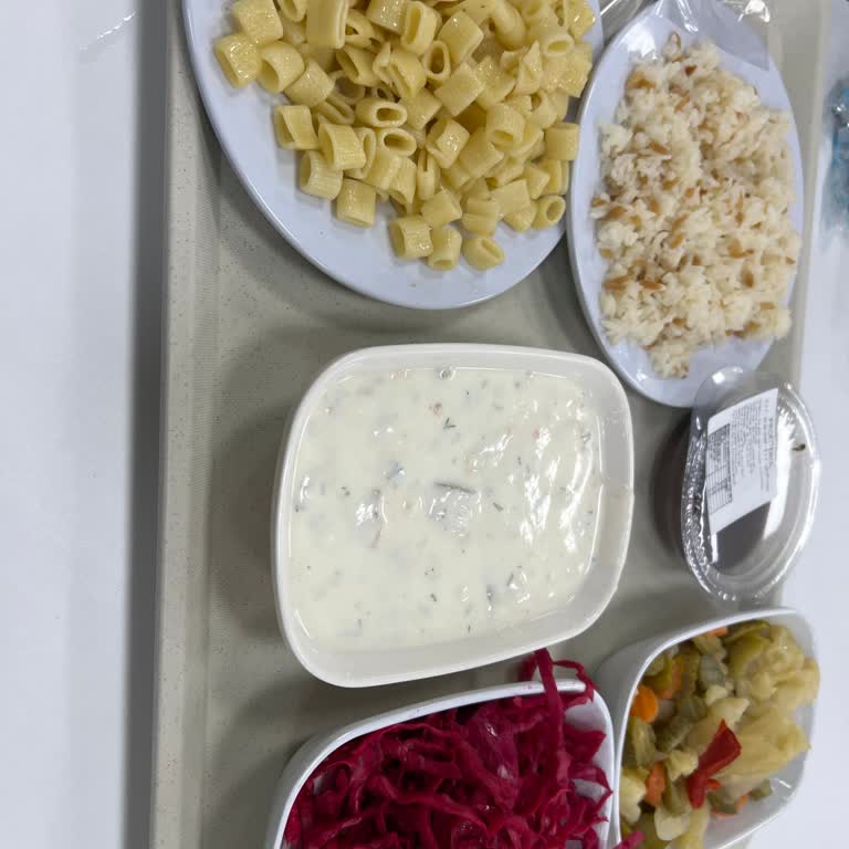 İGA İstanbul Havalimanı Vegan Yemeklerin Sürekli Tükenmesi Ve Personel İlgisizliği