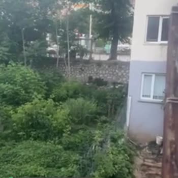 Bursa Büyükşehir Belediyesi Çöp Ve Sinek Kokusu Var!